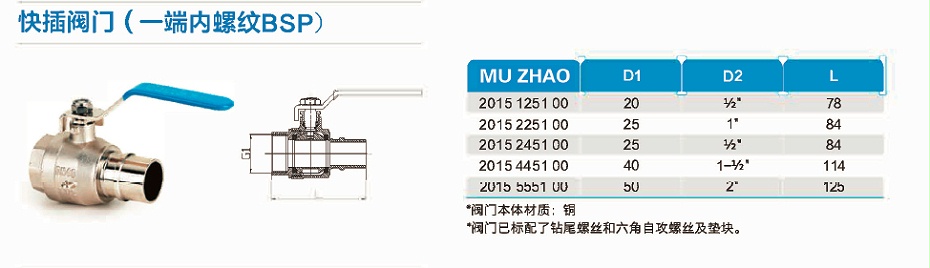 一端內(nèi)螺紋BSP快插閥門